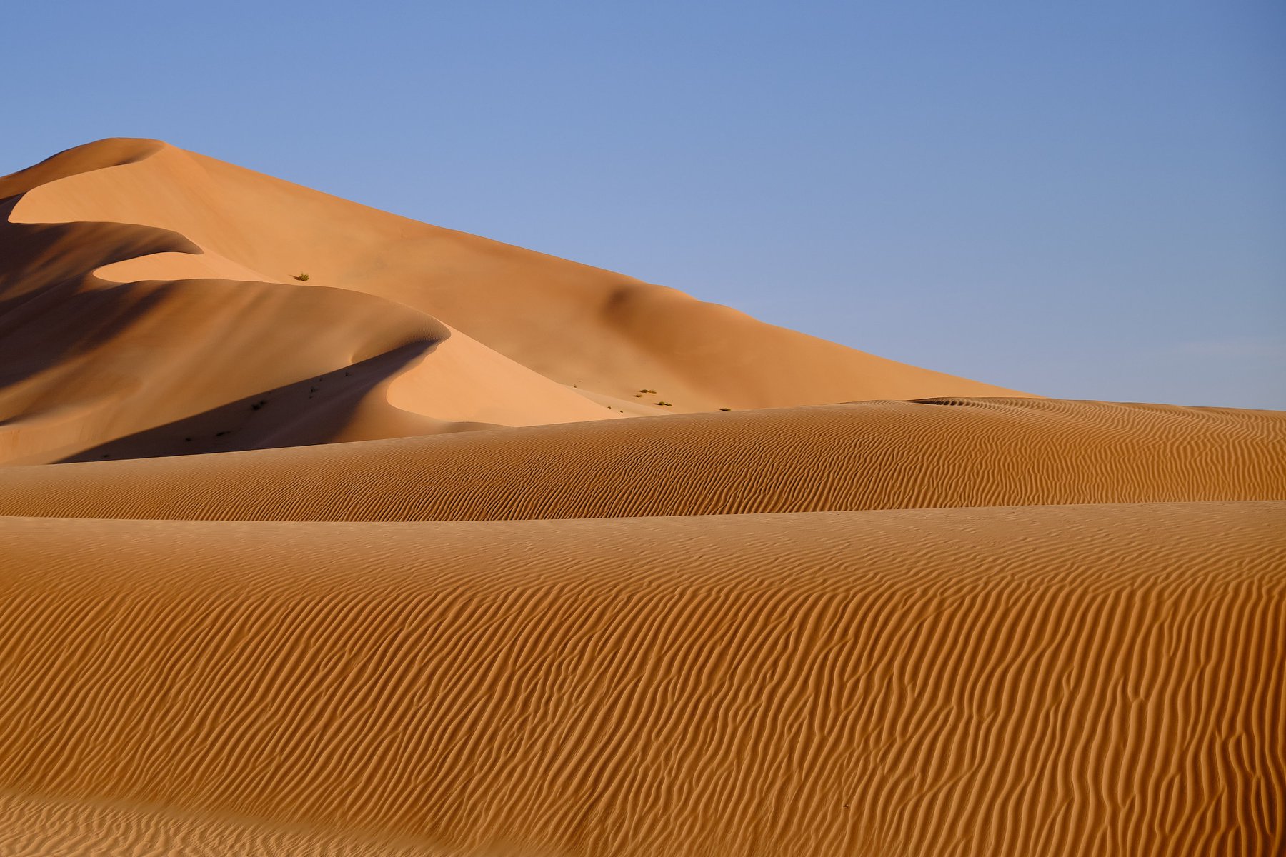 Empty Quarter of Arabia - Rub Al Khali, Oman 2018 - Oman Pocket Guide