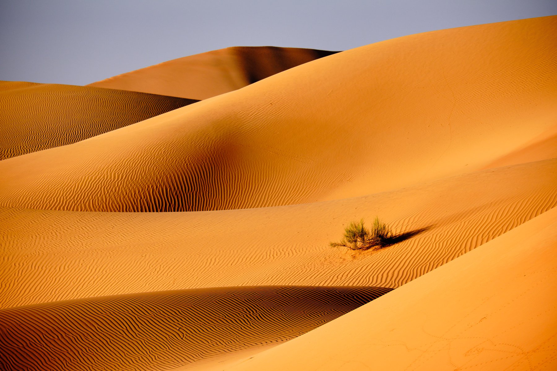 Empty Quarter of Arabia - Rub Al Khali, Oman 2018