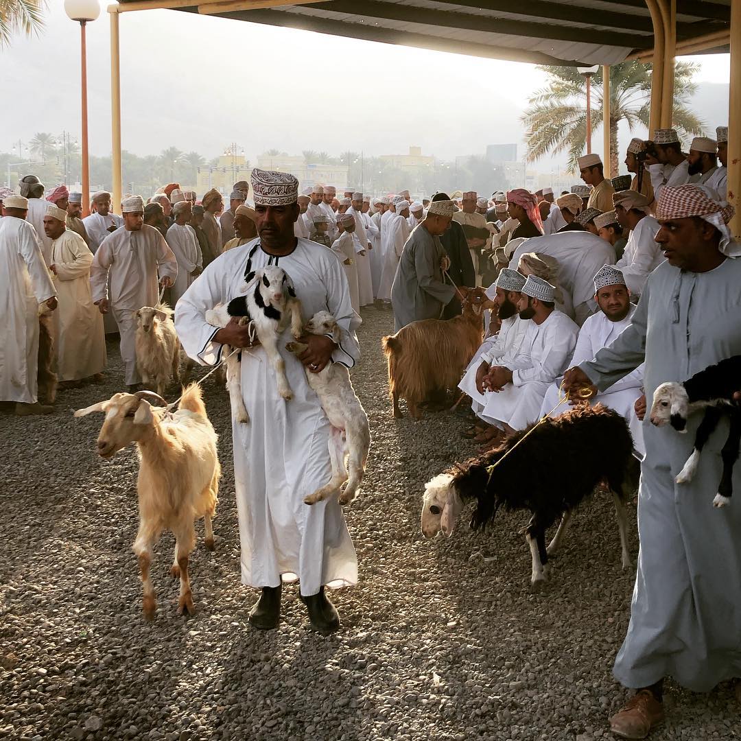 Friday Nizwa Goat Market: A Must-Visit for Tourists in Oman