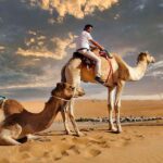 Arabian Nights Resort & Spa: A Desert Oasis in the Heart of Oman